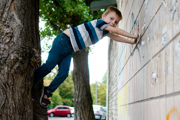 The boy climbs a tree and the wall of a building on the street. - Valokuva, kuva