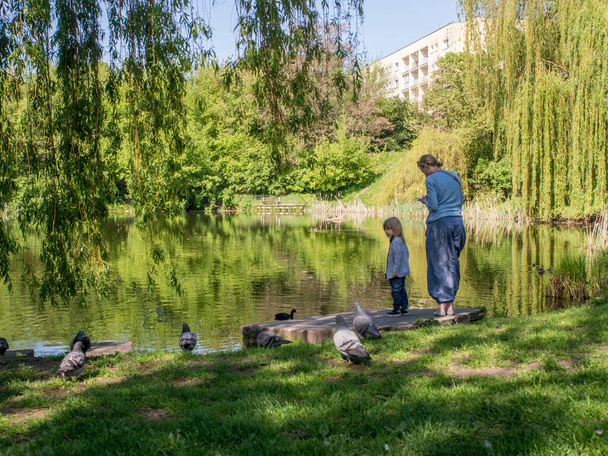 Варшава, Польша - 18 мая 2017 года: Мать и ребенок смотрят на уток у пруда Морских Око в небольшом парке в Варшаве, Sea Eye Pond - Фото, изображение
