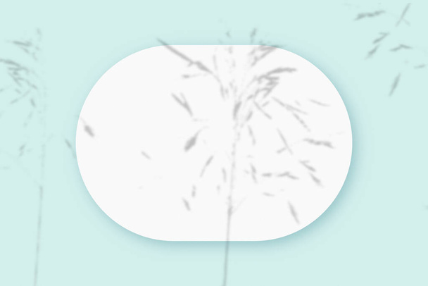 Mockup con ombre vegetali sovrapposte su un foglio ovale di carta bianca strutturata su sfondo beige. Orientamento orizzontale - Foto, immagini