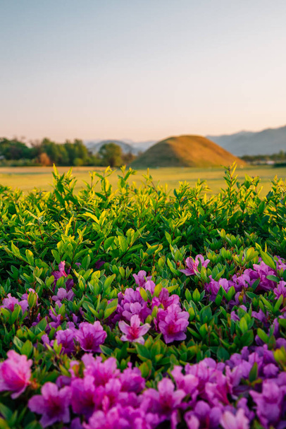 Inwang-dong ősi sírkomplexum tavasza Gyeongjunál, Koreában - Fotó, kép