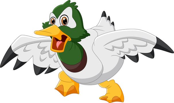 cute duck cartoon  isolated on white background - Vector, Image