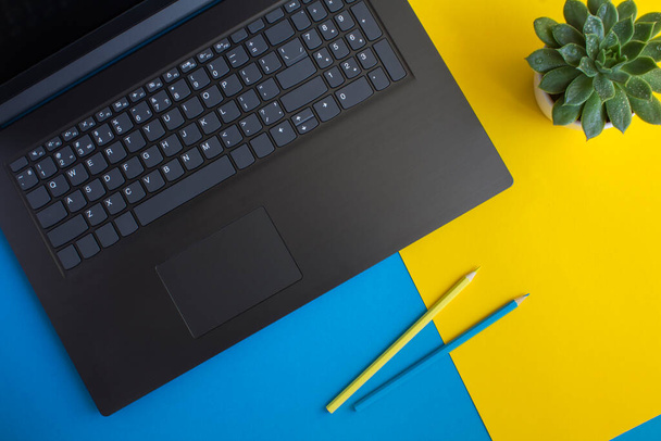 Вид зверху офісного столу з ноутбуком, олівцями та кактусом на кольоровому фоні. Плоский простір робочого столу
. - Фото, зображення
