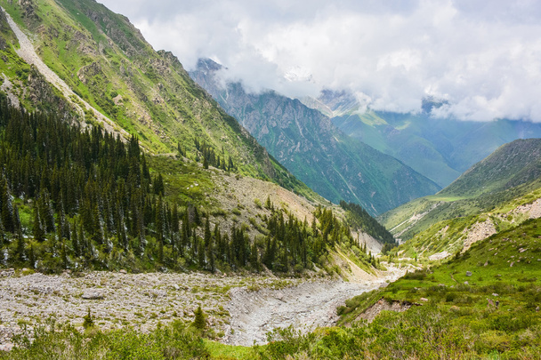 Tien-Shan mountains, Kyrgyzstan - Фото, изображение