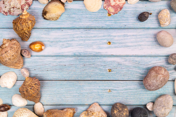 coconuts, rocks and shells on a blue wooden background.Marine theme. - Foto, Bild