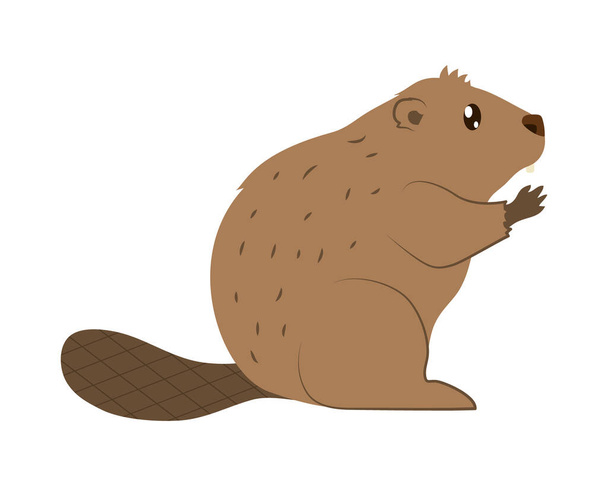 beaver icon design - Vector, Image