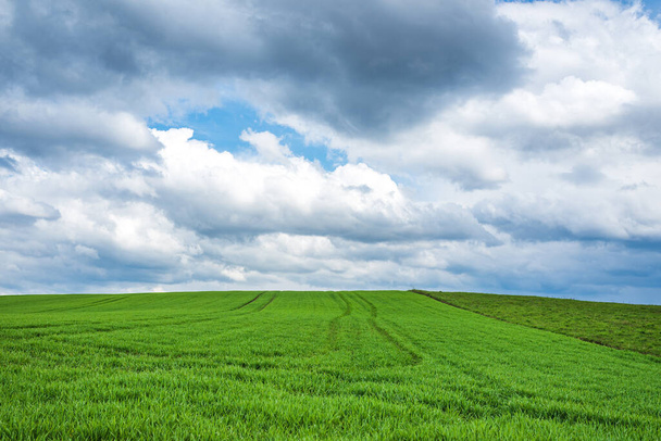 Yeşil tarla ve mavi gökyüzü beyaz bulutlu arka plan. Çiftlik arazisi. Beyaz bulutlu mavi gökyüzüne karşı güzel bir tarla. Tarım sahnesi - Fotoğraf, Görsel