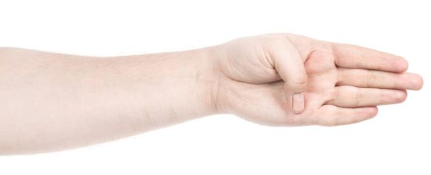 Las manos caucásicas masculinas aisladas fondo blanco mostrando gesto sostiene algo o toma, da. hombre manos mostrando diferentes gestos - Foto, imagen