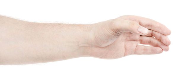 Férfi kaukázusi kéz elszigetelt fehér háttér mutató gesztus tart valamit, vagy elvesz, ad. férfi kéz mutatja a különböző gesztusok - Fotó, kép