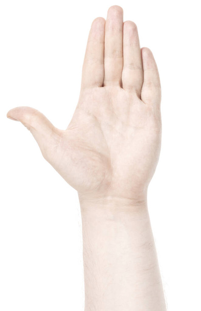 Manos caucásicas masculinas aisladas fondo blanco mostrando varios gestos de dedos. hombre manos mostrando diferentes gestos - Foto, imagen