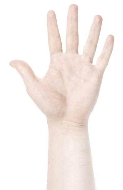 Mannelijke blanke handen geïsoleerde witte achtergrond tonen verschillende vinger gebaren. mannenhanden met verschillende gebaren - Foto, afbeelding