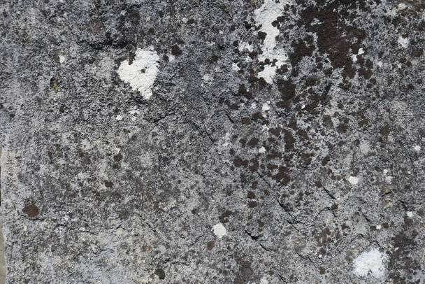 古い灰色の砂岩の質感 - 写真・画像
