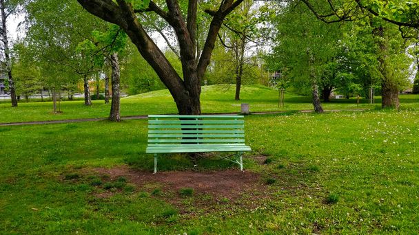 Зеленая скамейка в свежем зеленом парке, стоящем у дерева в красивом большом парке. Парк расположен в южночешском городе Ческе-Будеевице. Все зеленое и свежее. - Фото, изображение