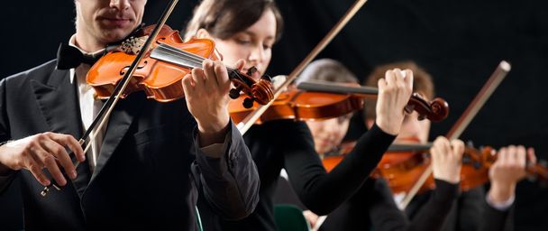 Violin orchestra performing - Zdjęcie, obraz