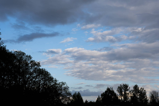 濃い雨の雲と森のシルエットと青空 - 写真・画像