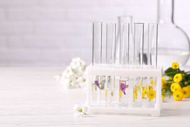 Test tubes with different flowers on white wooden table, space for text. Essential oil extraction - Фото, зображення