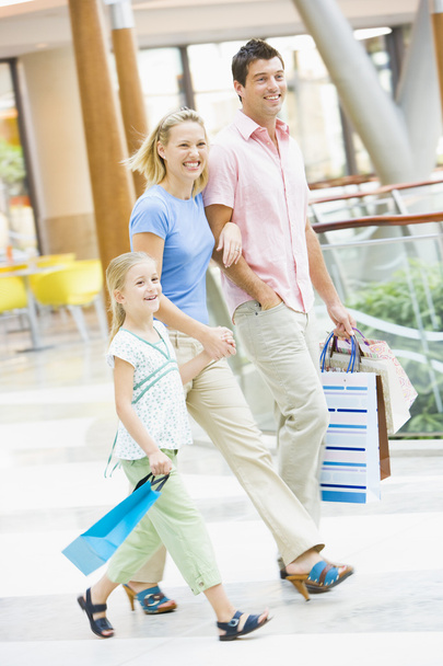 Family shopping in mall carrying mall - Foto, Imagem