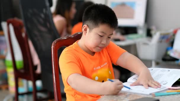 jongen doet huiswerk, kind schrijven papier, onderwijs concept, terug naar school - Video