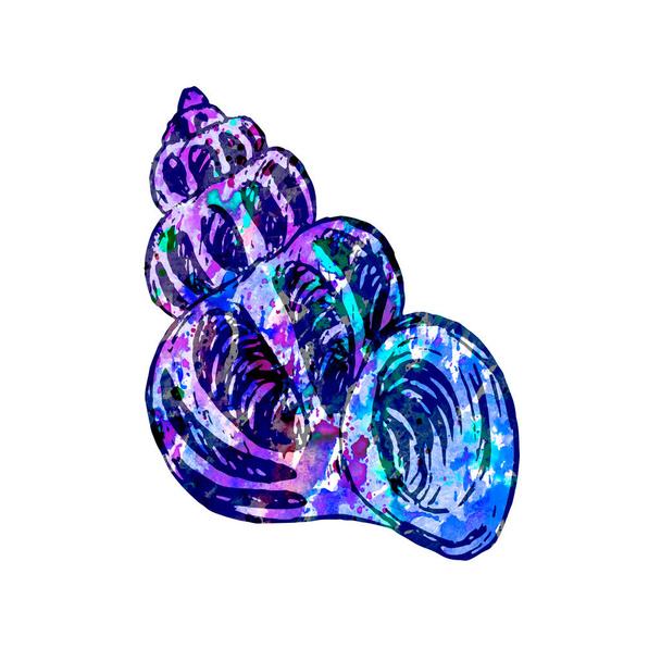 Seashell απομονωμένη εικόνα, ζωγραφισμένα στο χέρι πολύχρωμα αφηρημένη ακουαρέλα μωβ, μπλε πιτσιλιές - Φωτογραφία, εικόνα