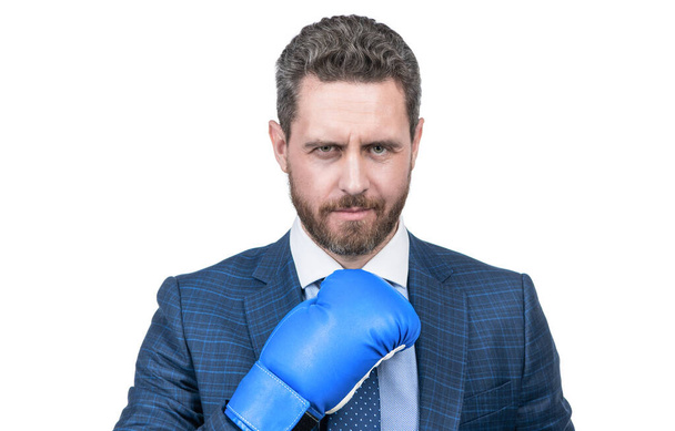 charisma. boss show power and authority. strong businessman in boxing gloves. successful ceo boxer. relentless struggle and success. confident man ready for corporate battle. business knockout. - Photo, Image