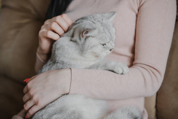 The girl is holding a kitten in her arms. Kitten in the arms of a girl. The girl hugs a little kitten to her. - 写真・画像