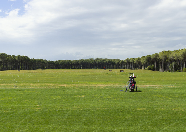 Campo de entrenamiento de golf para principiantes
  - Foto, Imagen