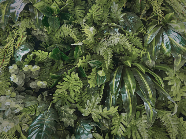 Full Frame Background of Green Plants Wall - 写真・画像