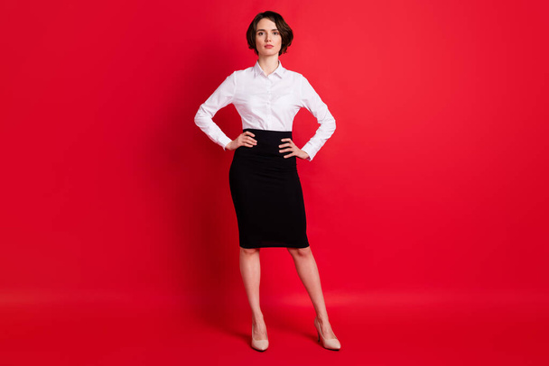 Full length body size photo business woman wearing white shirt black skirt confident serious isolated on bright red color background - Foto, Bild
