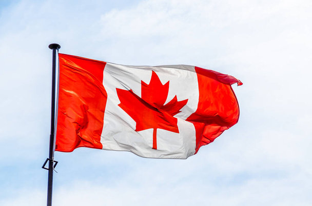 Canadian flag on the blue sky background - Fotó, kép