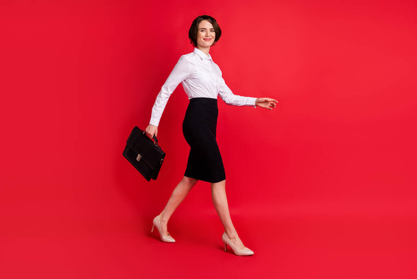 Full length body size side profile photo business woman going on meeting with leather bag isolated vibrant red color background - Фото, зображення