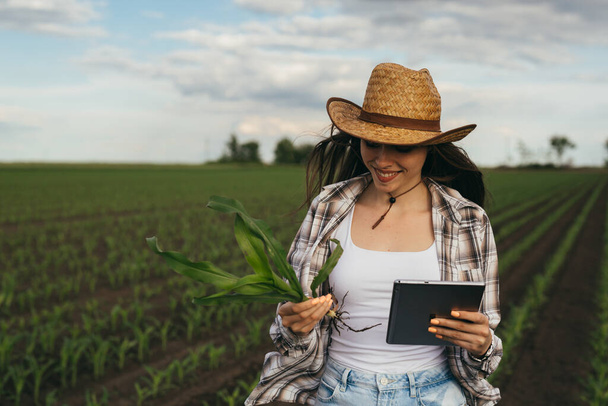 woman examining corn plant outdoors in field - Foto, imagen