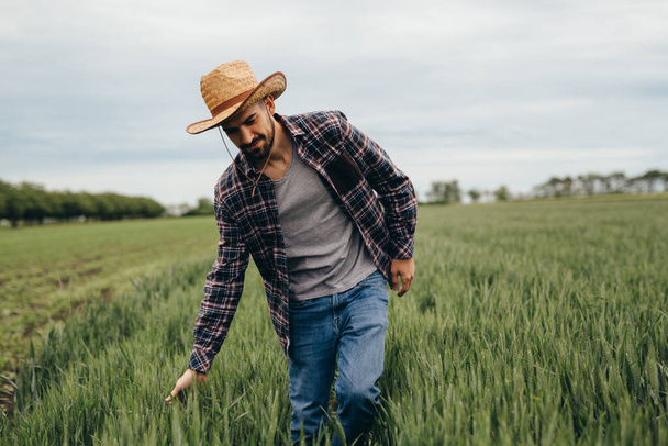rancher walking through wheat field - Valokuva, kuva