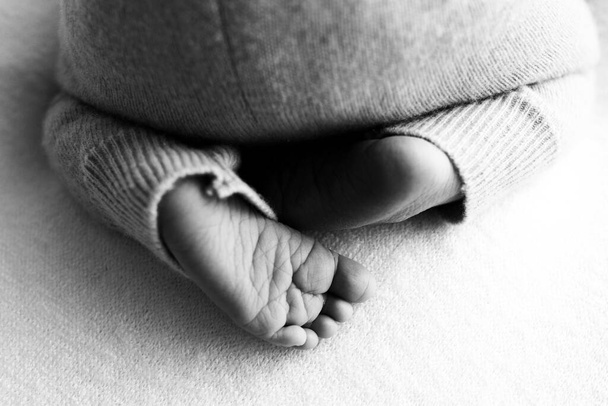 Dziecięce stopy. Maleńka stopa noworodka w miękkim, selektywnym skupieniu. Czarno-biały obraz podeszew stóp. - Zdjęcie, obraz