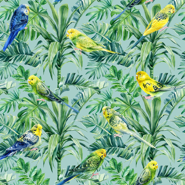 Budgerigar. Тропические птицы попугаи и пальмы. Акварельная иллюстрация, бесшовный узор - Фото, изображение