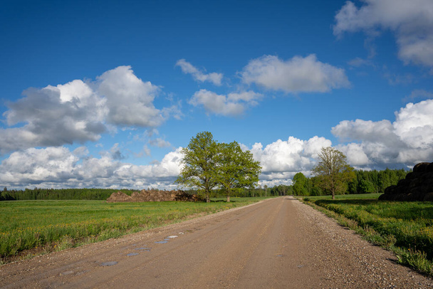 Деревенская дорога В сельской местности Латвии, по краям которой растут деревья и зеленая трава, небо голубое со многими макаками - Фото, изображение