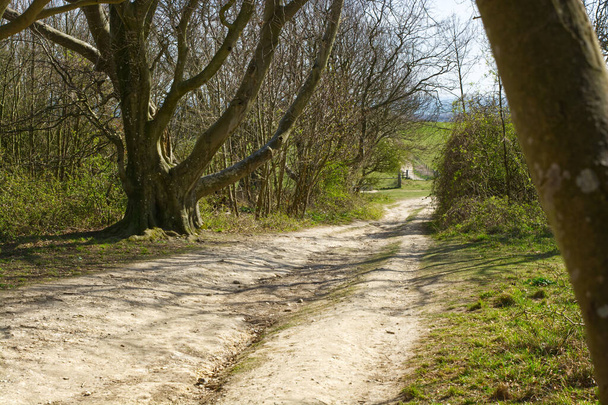 Źle zniszczona ścieżka piesza na kredowej glebie South Downs w Cissbury Ring, Worthing, West Sussex, Anglia - Zdjęcie, obraz