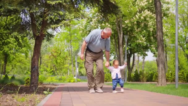 El bebé aprende a caminar al aire libre. El abuelo apoya a su nieta enseñando a caminar. bebé niña da los primeros pasos. - Metraje, vídeo