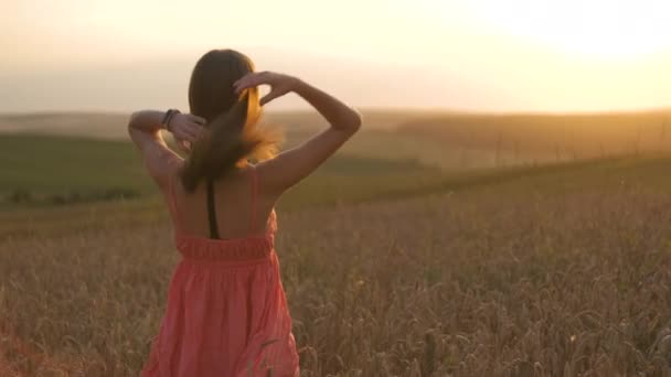Jovem mulher feliz em vestido de verão vermelho e chapéu de palha branca andando no campo de fazenda amarelo com trigo dourado maduro levantando os braços desfrutando de noite quente. - Filmagem, Vídeo