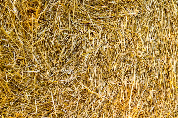 Hay texture. Hay bales are stacked in large stacks. Harvesting in agriculture. - Photo, Image