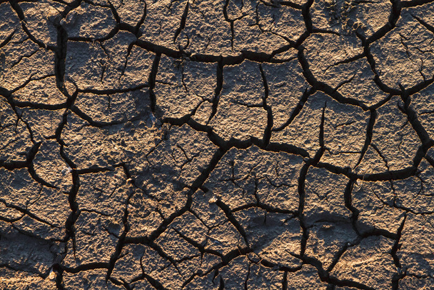 Tierras o suelos secos deshidratados y agrietados. - Foto, imagen