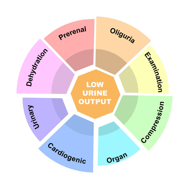 Diagram concept met Low Urine Output tekst en trefwoorden. EPS 10 geïsoleerd op witte achtergrond - Vector, afbeelding