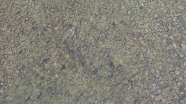 Mountain river. lear water washes the stones that cover bottom of riverbed. Autumn time. Aerial drone view, top view, pan - Footage, Video