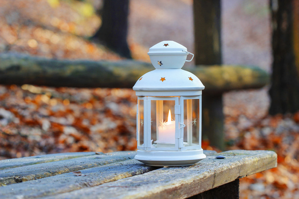 Beautiful lantern on wooden table in autumn forest - Photo, Image