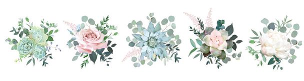 Green colorful succulent bouquets vector design objects. - Wektor, obraz