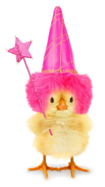  Cute cool chick good fairy tale with hat and magic wand funny conceptual image                                - Photo, Image