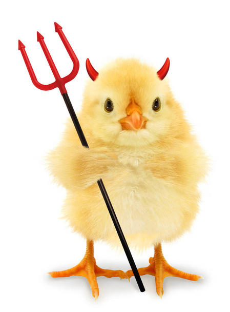       Cute cool chick devil with satanic trident, funny conceptual image                           - Photo, Image