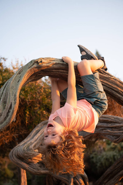 Enjoying fun childhood. Boy child hang from tree branch. Kid have fun hanging upside down - Фото, изображение