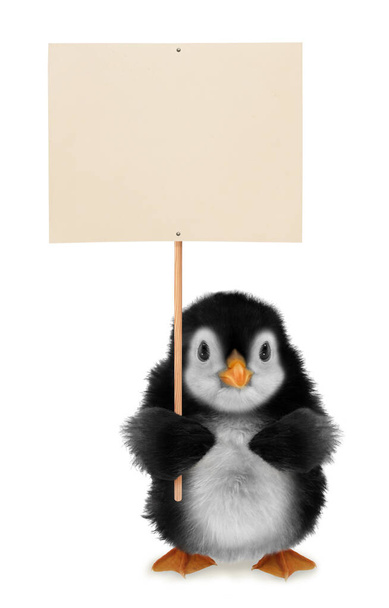 Niedliches kleines Pinguin-Baby mit weißem Banner auf weißem Hintergrund. Lustiges Tierkonzept-Foto                                - Foto, Bild
