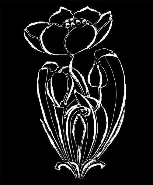 Desenho de esboço de tulipa decorativa com botões e folhas - Vetor, Imagem