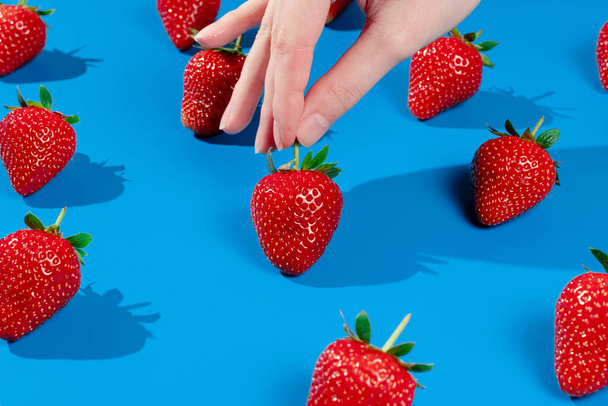 Holding strawberry on blue background. Woman touching strawberry - Photo, Image