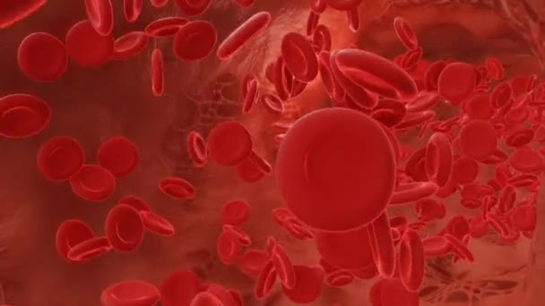 Glóbulos rojos que fluyen en una arteria. 3d video - Metraje, vídeo
